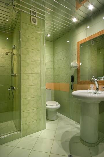 Фото номера Двухместный номер Делюкс с 1 кроватью Отель Diplomat Plaza Hotel &amp; Resort г. Луковит 2